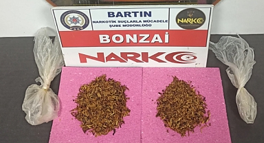 Yine bonzai yakalandı