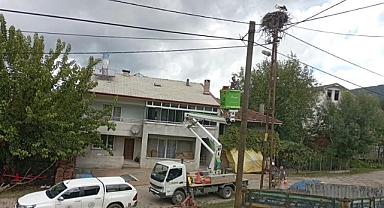 Bartın’da Yuvasında mahsur kalan Leylek kurtarıldı
