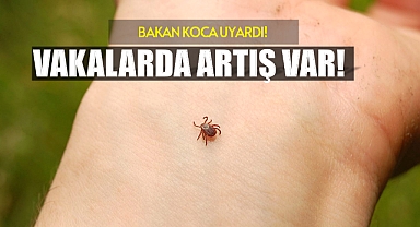 Bartınlılar dikkat, Bakan Koca Kene yapışması konusunda uyardı!
