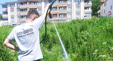 Bartınlıları ilgilendiren sivrisinek duyurusu