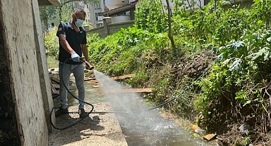 Belediye Sinek ve haşere ile mücadelesine devam ediyor