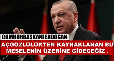 Cumhurbaşkanı Erdoğan: açgözlülükten kaynaklanan bu meselenin üzerine gideceğiz