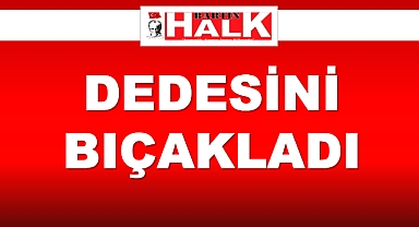 DEDESİNİ BIÇAKLADI