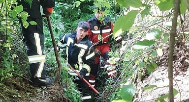 Kanala düşen inek, itfaiye ekiplerinin çabasıyla kurtarıldı