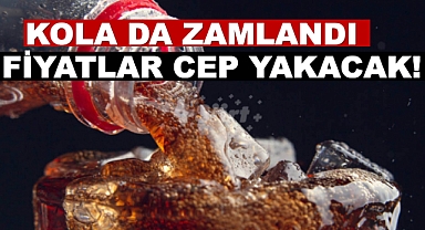 Kolanın Litresi 25 Lira Oldu