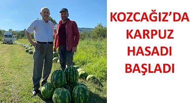 Kozcağız’da karpuz hasadı başladı