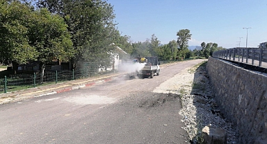 Park alanları ilaçlandı
