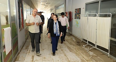Vali Arslan, İncelemelerde bulundu