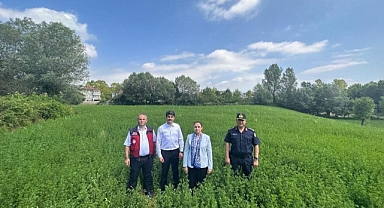 Vali Arslan, Tarla günü etkinliğine katıldı