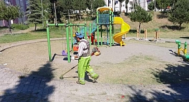Yabani otlar temizleniyor