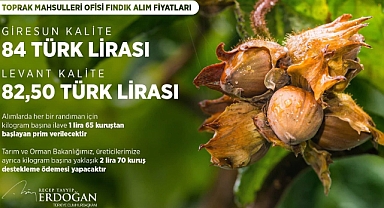 2023 Fındık Fiyatı açıklandı