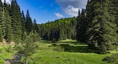 Gezen Yaylası ziyaretçilerini bekliyor