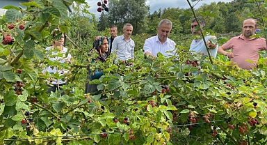 il Müdürü Önder Kızılcık hasatına katıldı