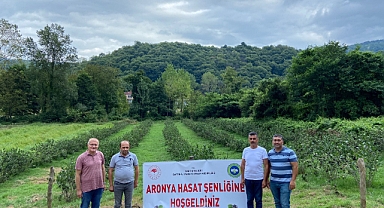 İlk Organik Aronya Hasat Şenliği yapıldı