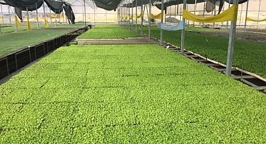 Projenin değeri 3 milyon TL