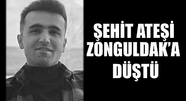 Şehidimiz var