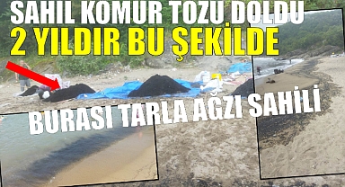 Tarlaağzı sahili kömür tozuyla doldu.
