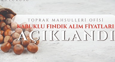 TMO, fındık alımı 28 Ağustos’ta başlıyor