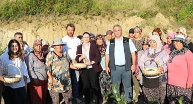 Vali Arslan, Yaban Mersini hasadına katıldı