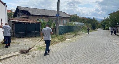 Yabani ot temizleme çalışması gerçekleştirildi