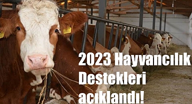 2023 Hayvancılık destekleri açıklandı