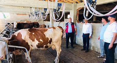 291 bin TL’lik ahır