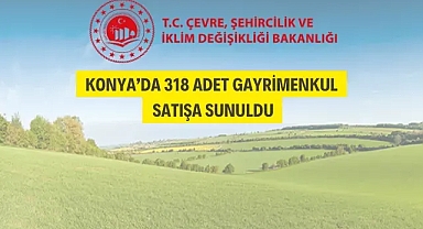 318 adet gayrimenkul satılacak