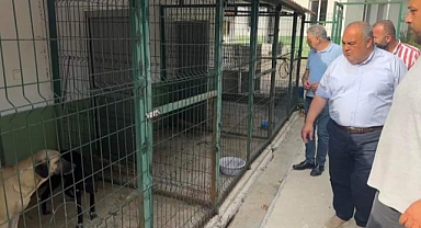 Aldatmaz, bakım evinde incelemelerde bulundu 