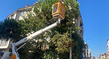 Bartın’ın yeşili korunuyor