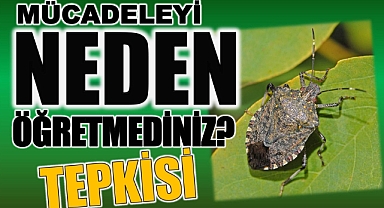 ÇiftçilerdenTepki! Mücadeleyi neden öğretmediniz?