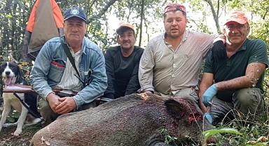 Deniz kenarına kadar geldiler!