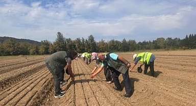 Gökçebey'de ekilen tohumlar Bartın'da ıhlamur olacak