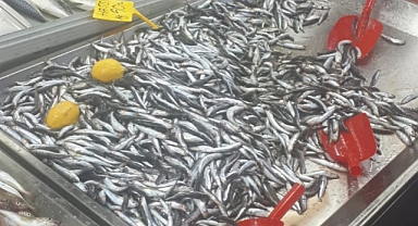 Hamside fiyatlar düştü