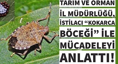 İşte herkesin merak ettiği o açıklama! 