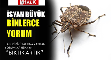 Kokarca Böceği Haberine Binlerce Yorum! BIKTIK ARTIK…