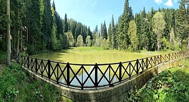 Ormanlara hayat olacak!