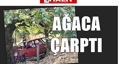 Otomobil Ağaca Çarptı!