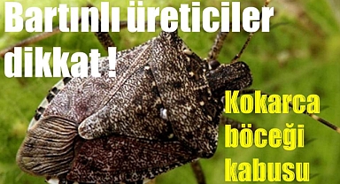 Tarım İl Müdürlüğü’nden o böcekle ilgili uyarı