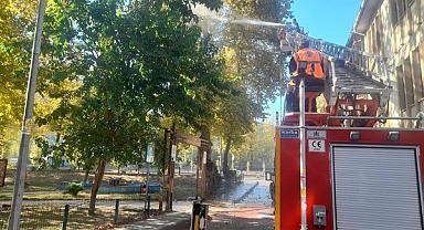 Ulus’ta kavlak ağaçları ilaçlandı