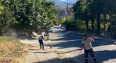 Yabani otlar temizleniyor