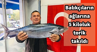 5 kilogramlık torik ağlarda!