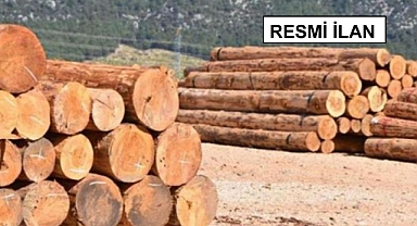 ORMAN EMVALİ İSTİFLEME HİZMETİ ALINACAKTIR