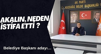 Akalın, Neden istifa etti?