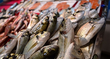 Balık severlere müjde!