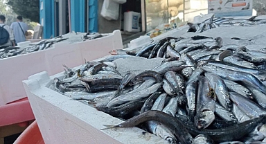 Balıkçılar düzenleme istiyor!