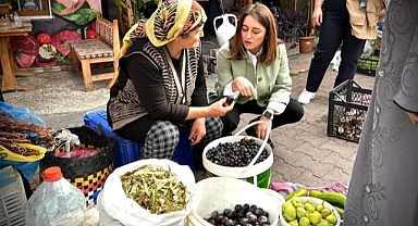 Bankoğlu Kurucaşile'de