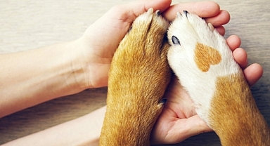 Bir gün değil, her gün!