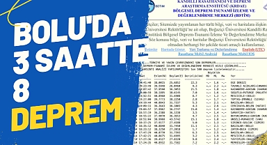 Bolu'da 3 saatte 8 deprem 