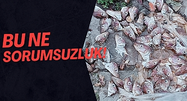 Bu ne sorumsuzluk