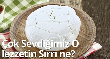 Çok Sevdiğimiz O lezzetin Sırrı ne?